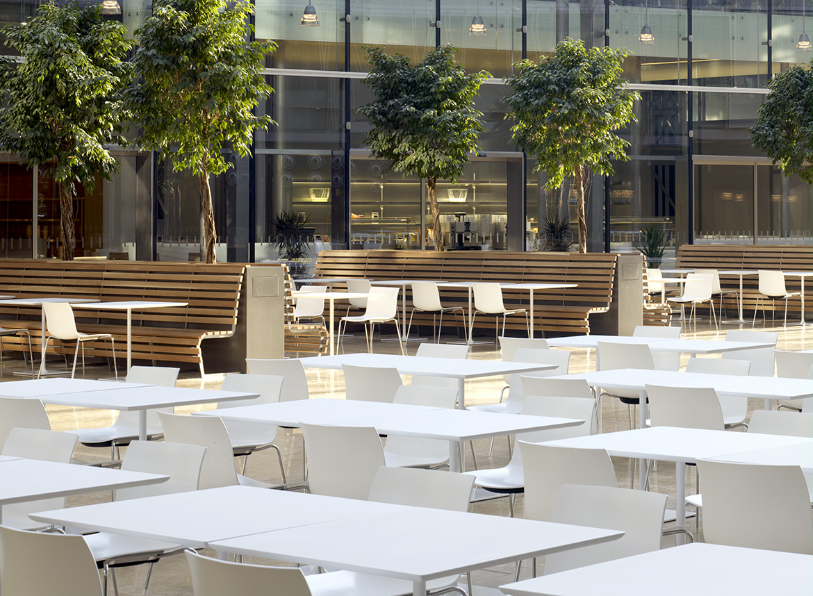 OB体育APP官网下载 - 坐具|餐椅|办公家具|中国有限公司家具|Catifa 46 餐椅